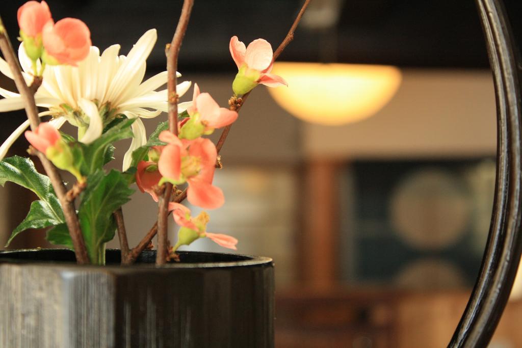 Yamadaya Ryokan Ōta Exterior foto